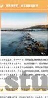 大象视频天天看人人爽-探索大象视频的魅力，每日一观，尽享欢愉